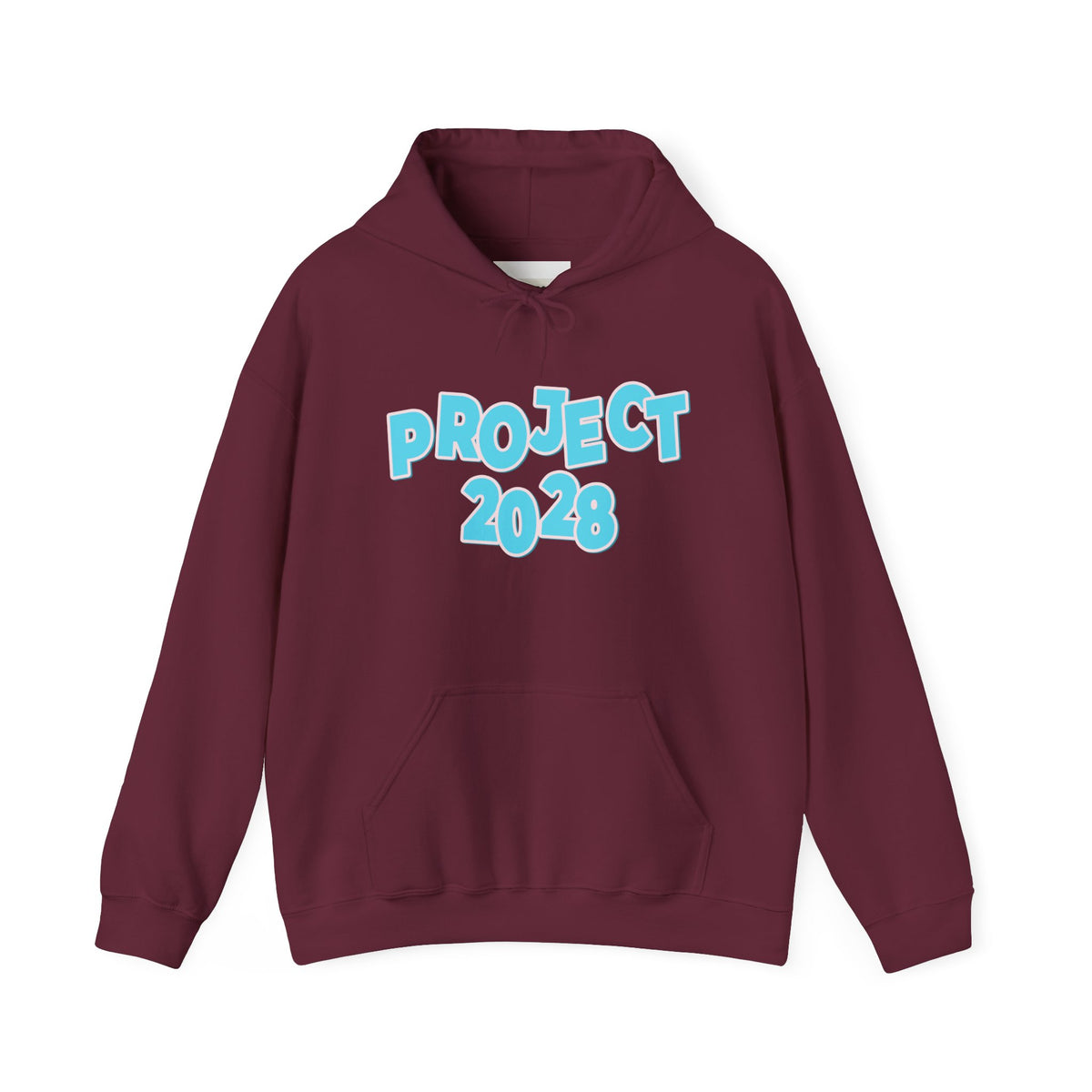 Project 2028 Hoodie | Democracy | Social Awareness