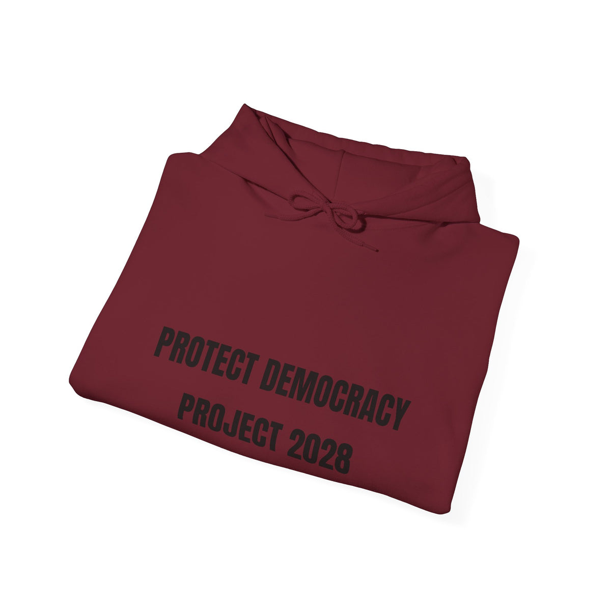 Protect Democracy Project 2028 Hoodie | democracy text design