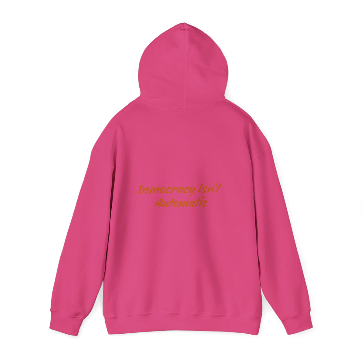 Project 2028 Hoodie | Democracy | Social Awareness