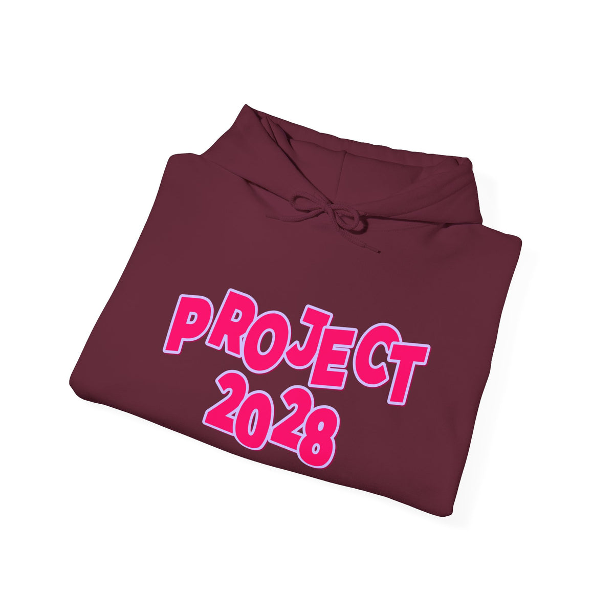 Project 2028 Hoodie | Social Awareness