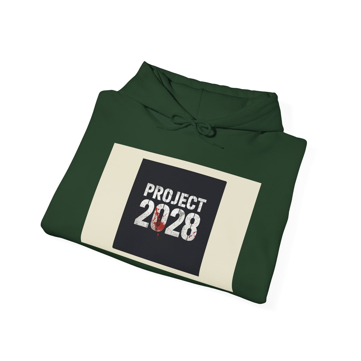 Product 2028 graphic hoodie | Democracy | Social Justice