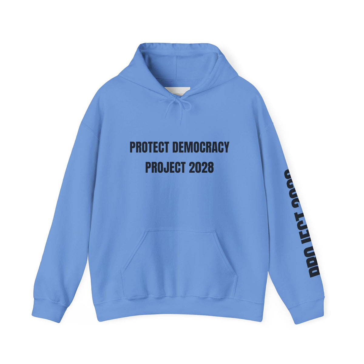 Protect Democracy Project 2028 Hoodie | Social Awareness