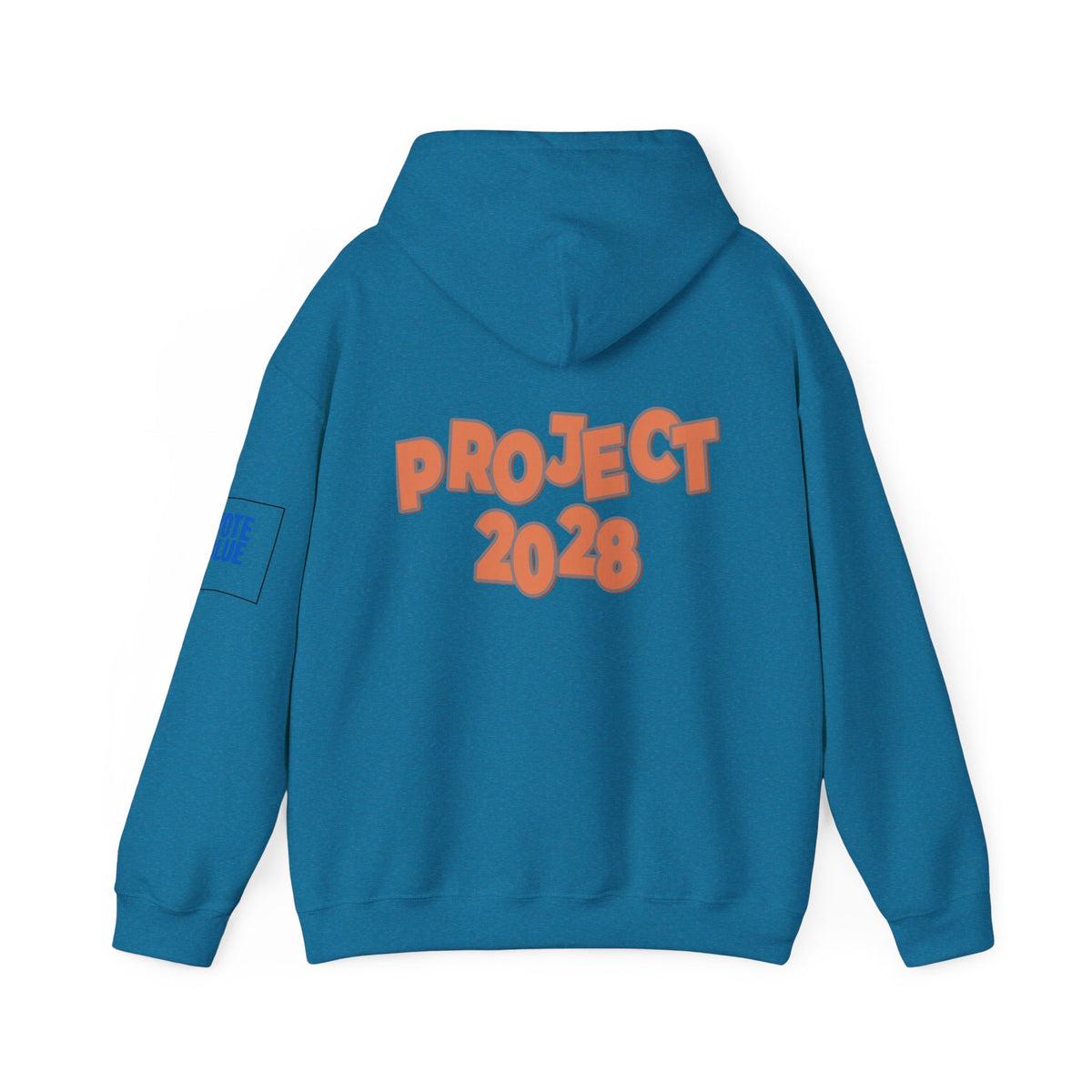 Protect Democracy Project 2028 Hoodie | Social Awareness