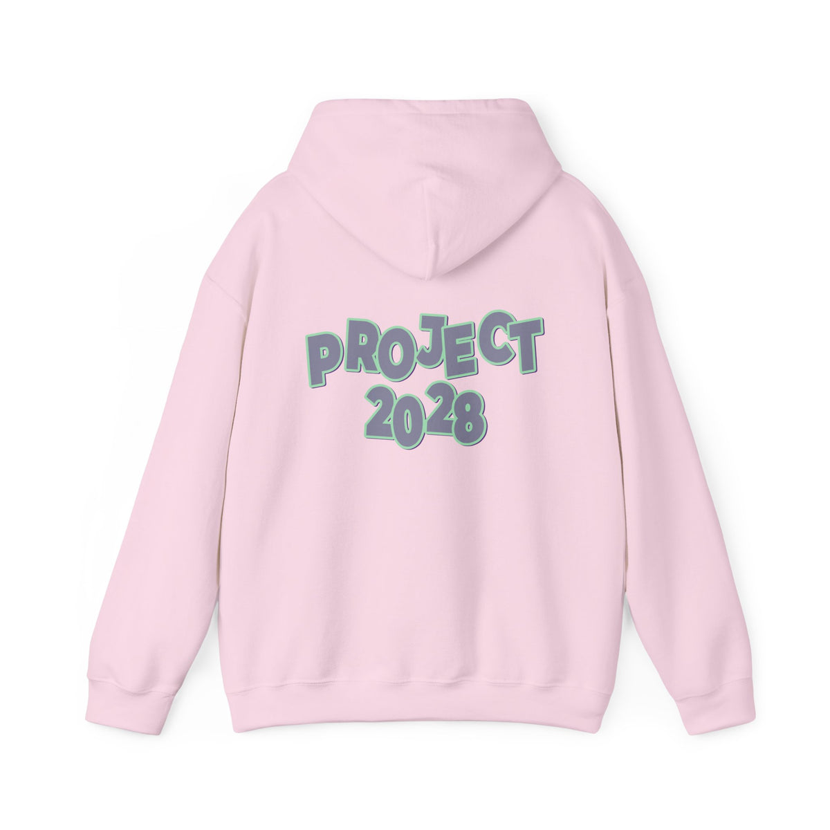 Project 2028 Hoodie | Protect Democracy graphic hoodie