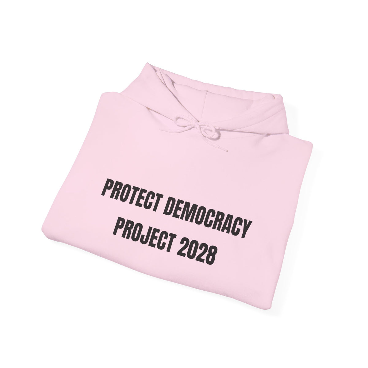 Protect Democracy Project 2028 Hoodie | Social Awareness