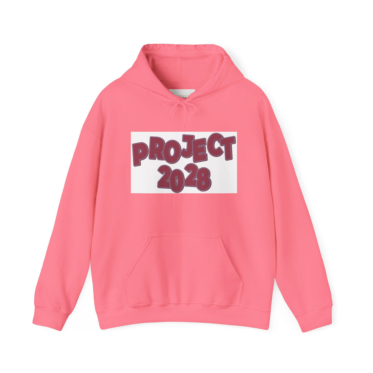 Project 2028 hoodie | Democracy Isn't Automatic back print