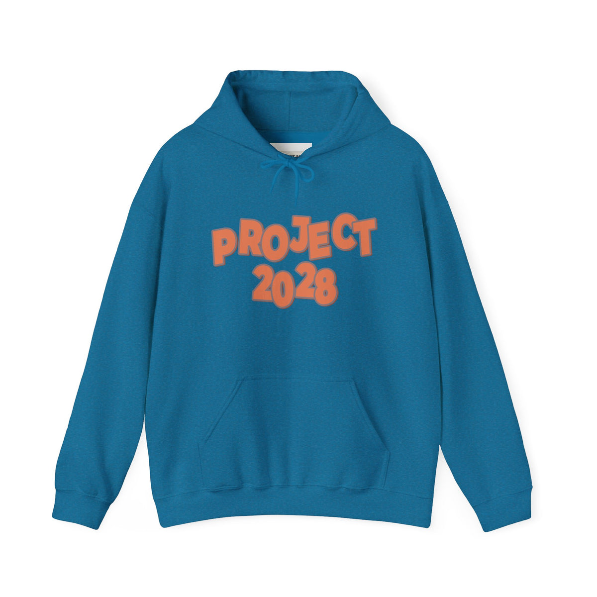 Project 2028 Hoodie | Democracy | Social Justice Message