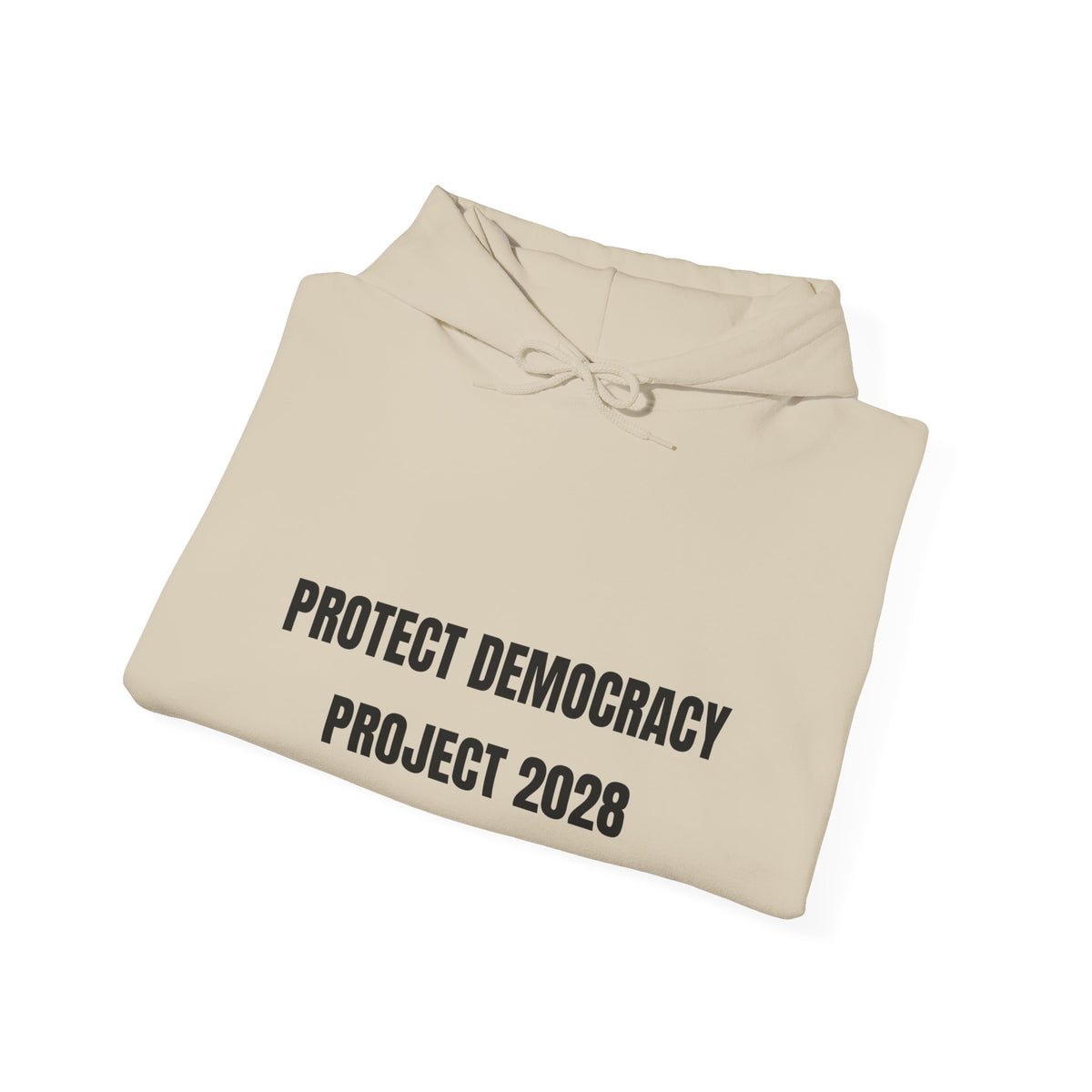 Protect Democracy Project 2028 Hoodie | Social Awareness