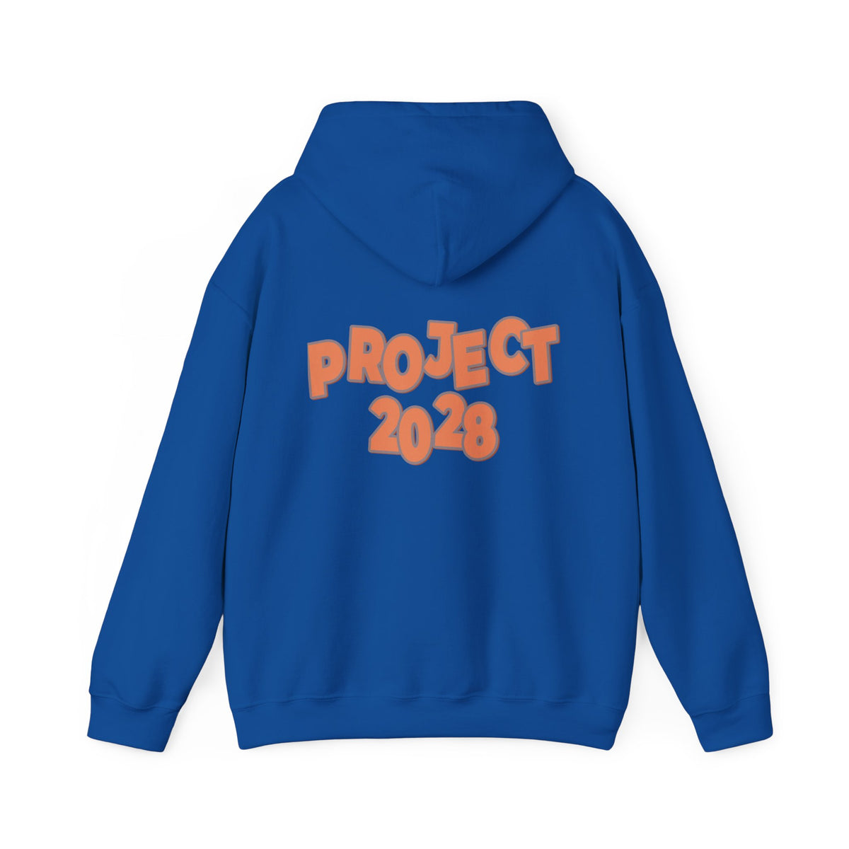Protect Democracy Project 2028 Hoodie | Social Awareness