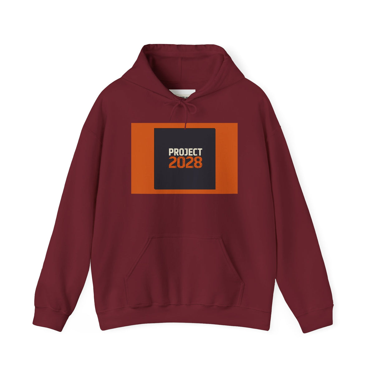 Project 2028 Graphic Hoodie | Democracy