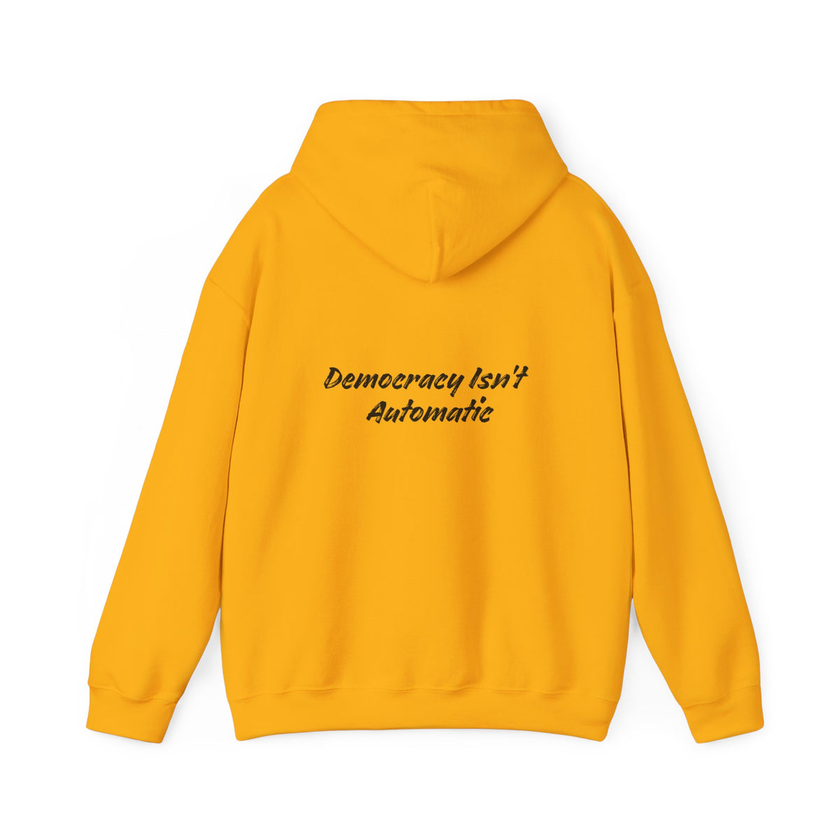 Copy of Project 2028 hoodie | Democracy | Social Awareness
