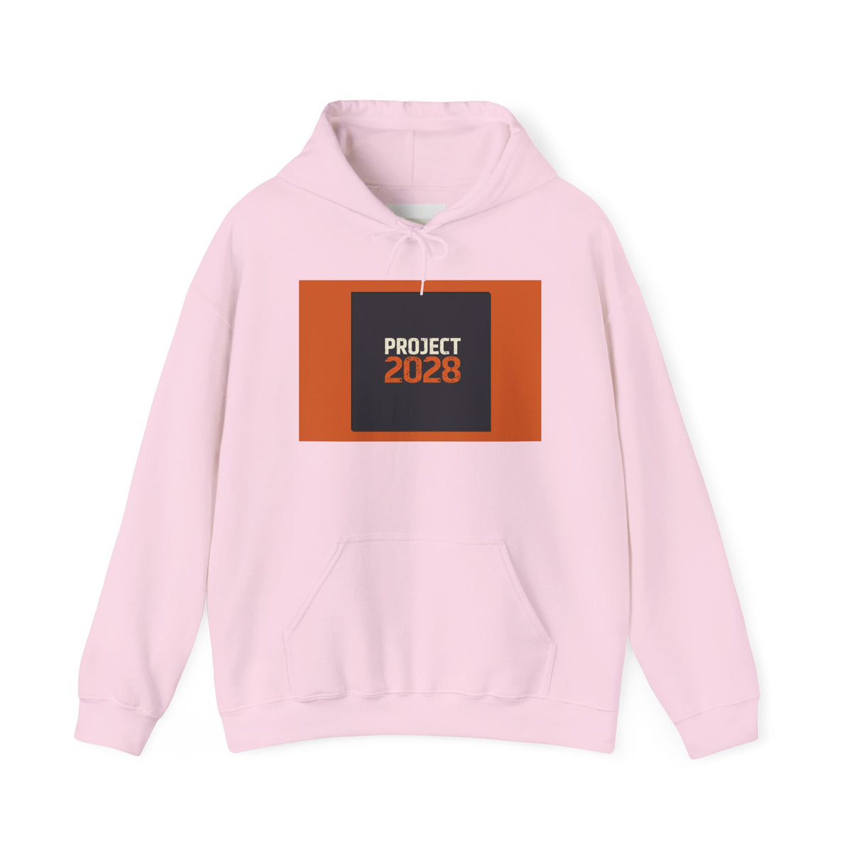 Project 2108 Graphic Hoodie | Democracy Isn't Automatic Back Print