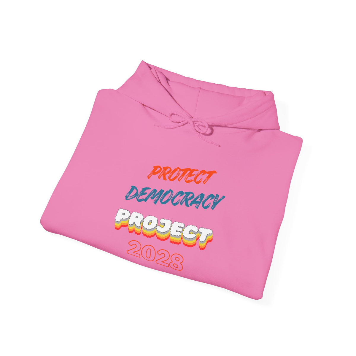 Protect Democracy Project 2028 Hoodie | Social Awareness