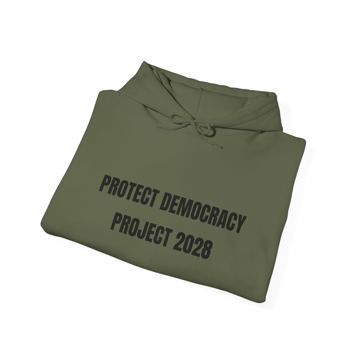 Protect Democracy Project 2028 Hoodie | Social Awareness