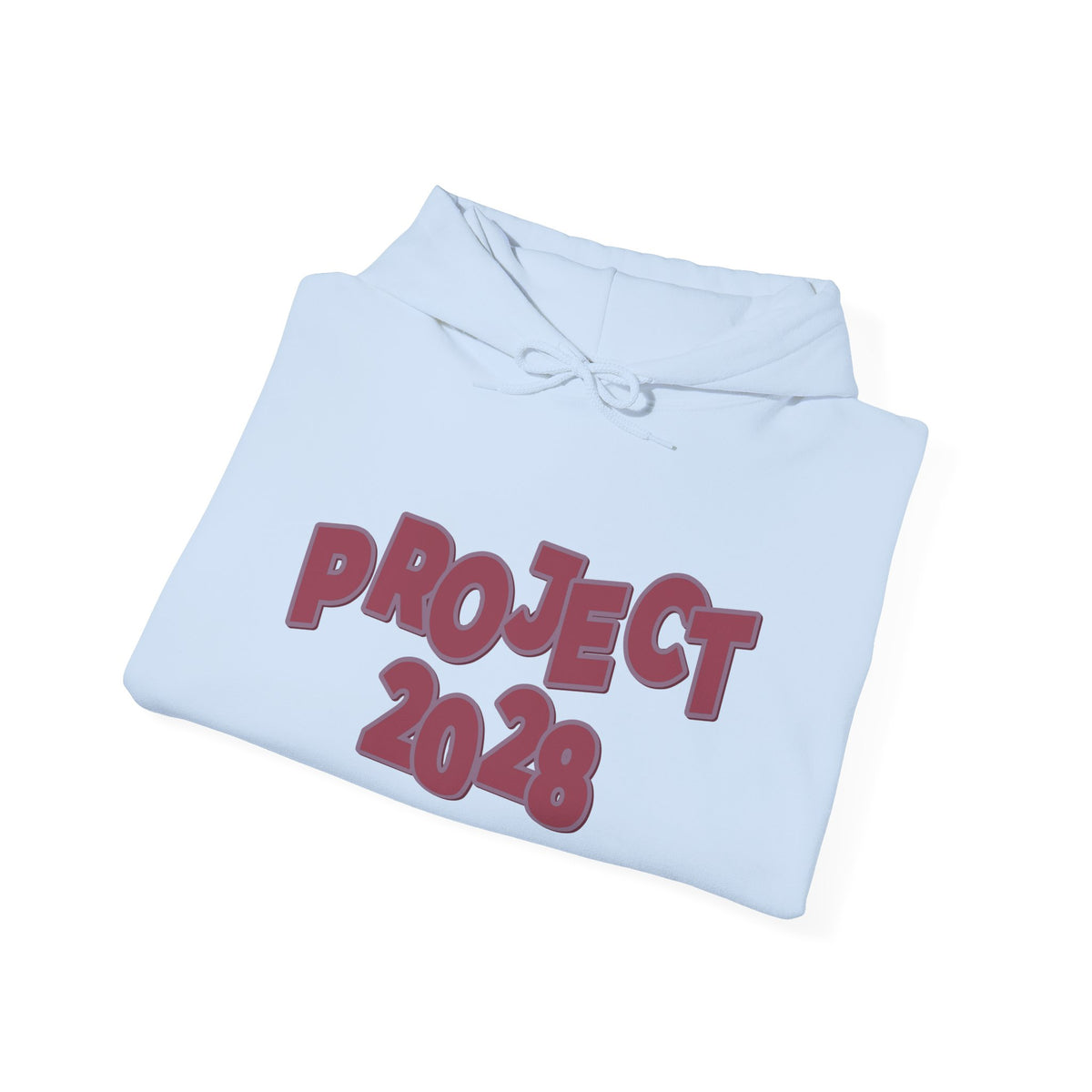 Project 2028 Hoodie | Social Awareness - 2