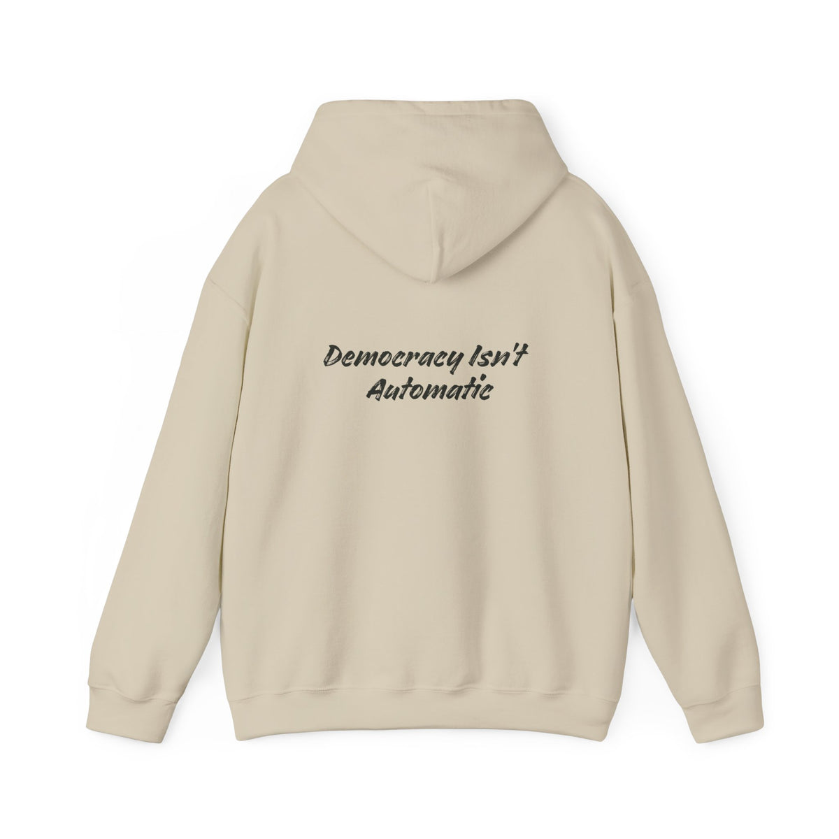 Protect Democracy Project 2028 Hoodie | democracy text design
