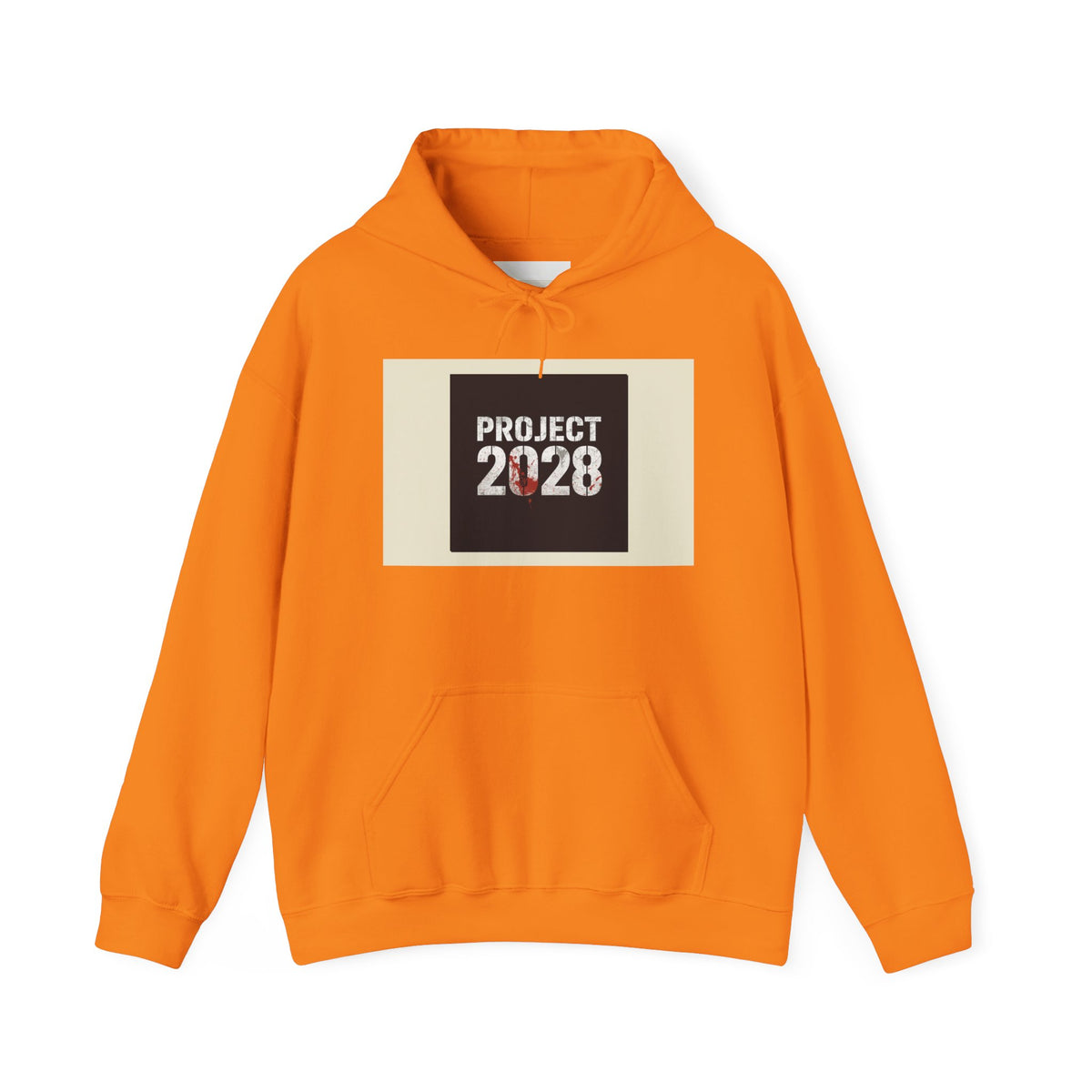 Product 2028 graphic hoodie | Democracy | Social Justice