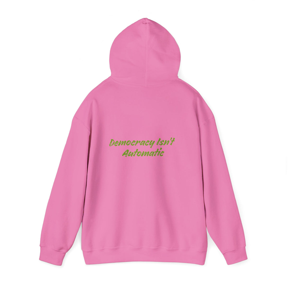 Protect Democracy Project 2023 Hoodie | Democracy Isn't Automatic