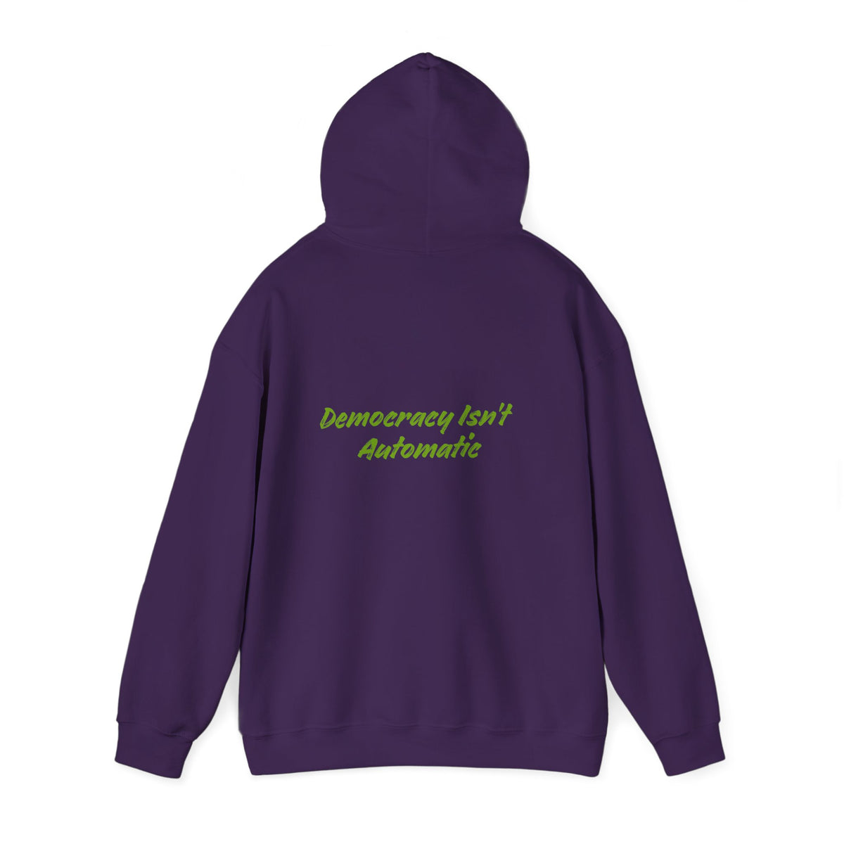 Protect Democracy Project 2023 Hoodie | Democracy Isn't Automatic
