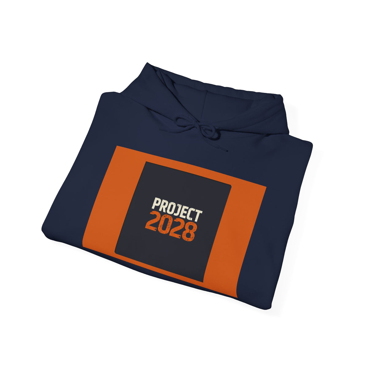 Project 2108 Graphic Hoodie | Democracy Isn't Automatic Back Print