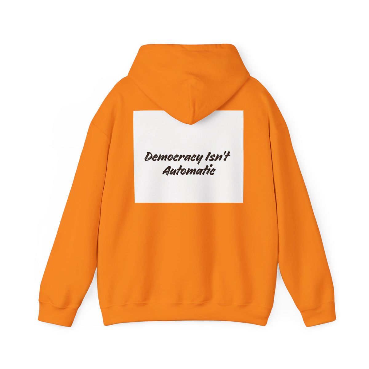 Protect Democracy Project 2028 Hoodie | Social Awareness