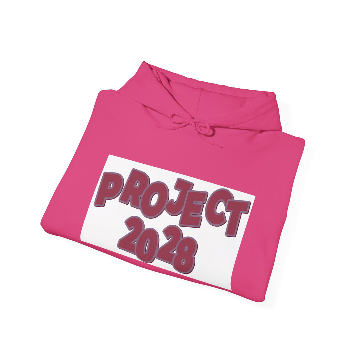 Project 2028 hoodie | Democracy Isn't Automatic back print