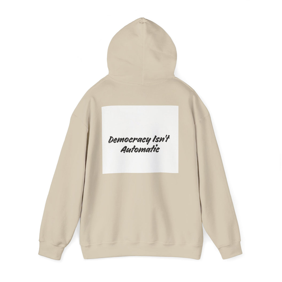 Protect Democracy Project 2028 Hoodie | Social Awareness