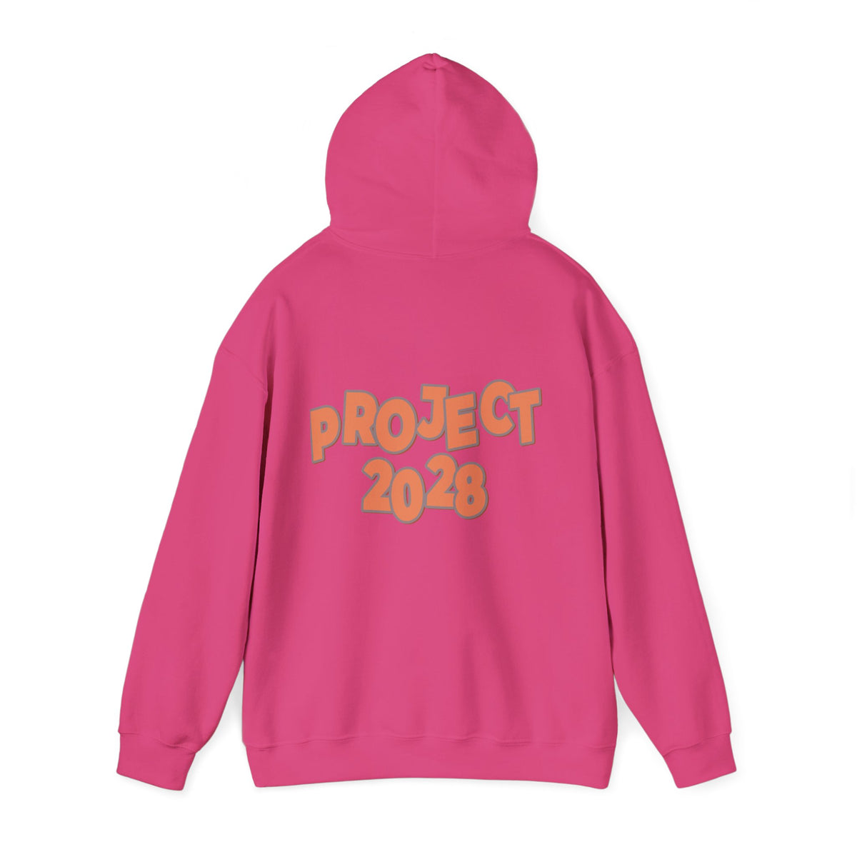 Protect Democracy Project 2028 Hoodie | Social Awareness