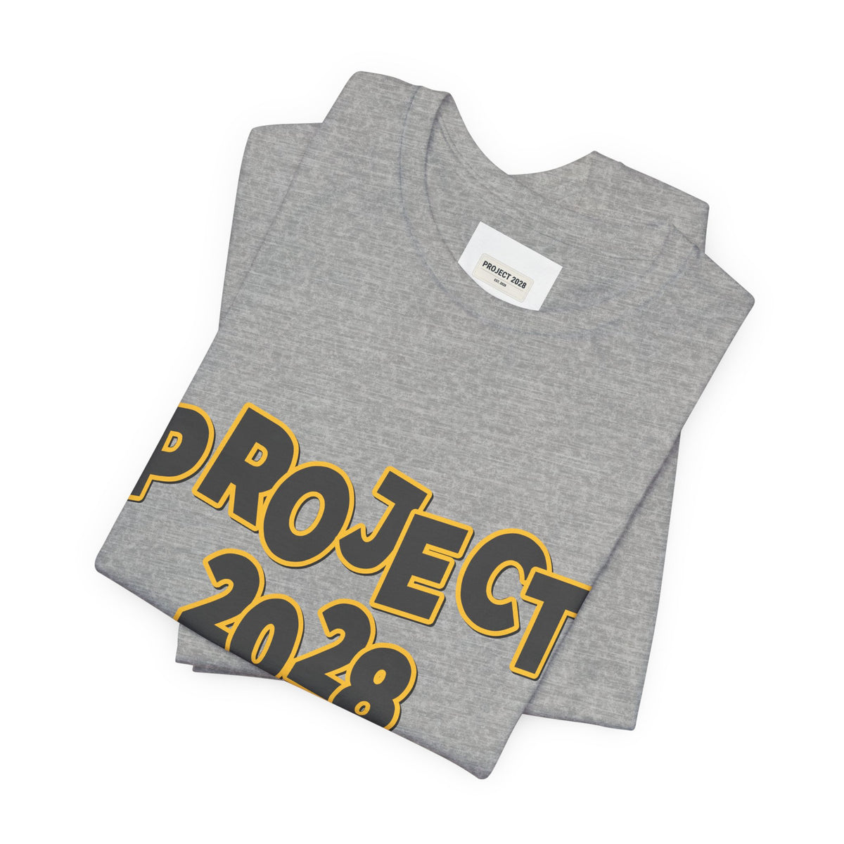 Project 2028 Graphic Tee — "Spirit Airlines Is Gone. Democracy Could Be Next. Vote Blue." Political Statement T-Shirt - Make a Statement Without Saying a Word!