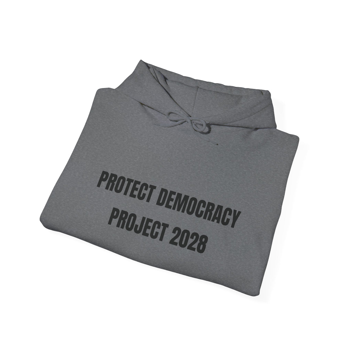 Protect Democracy Project 2028 Hoodie | Social Awareness