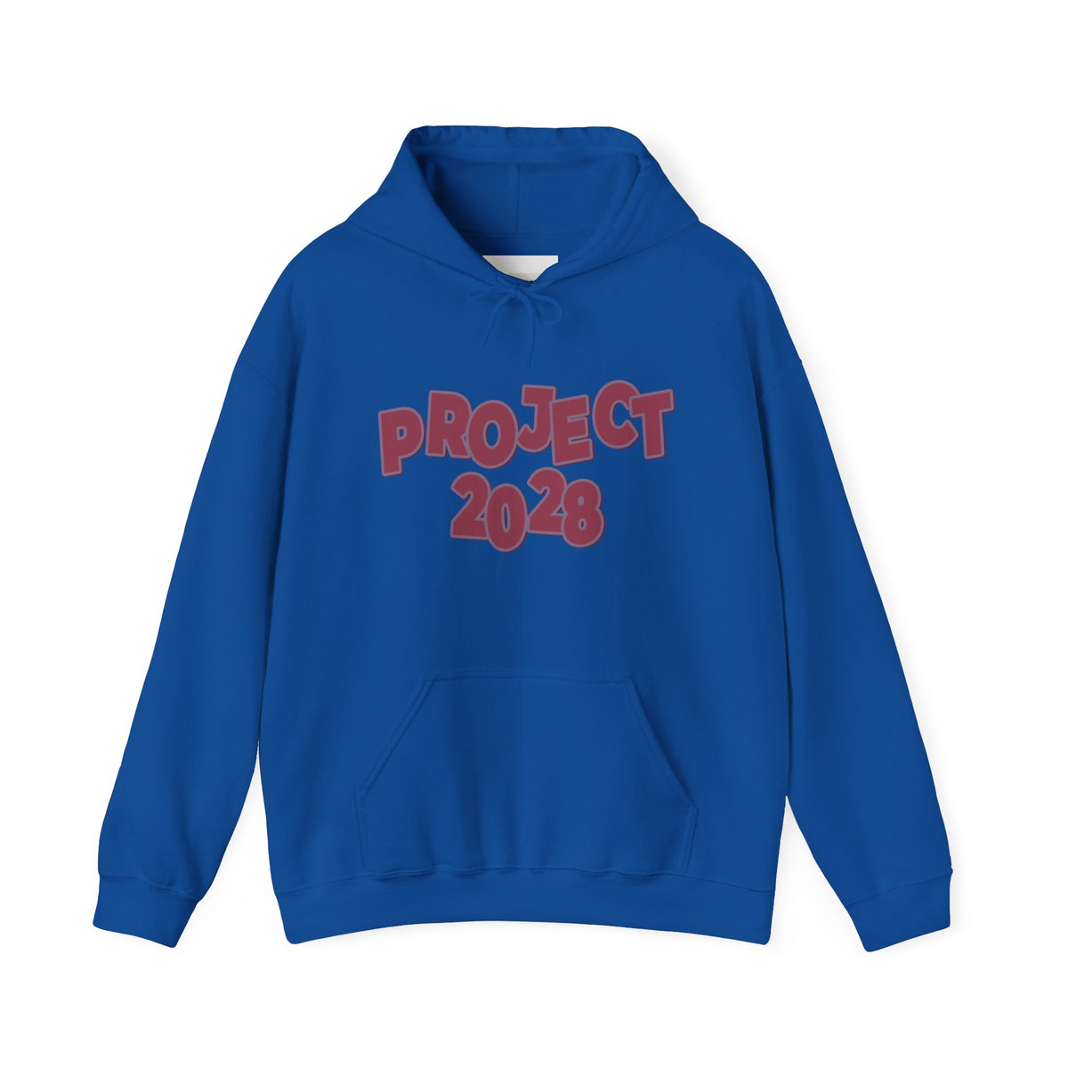 Project 2028 Hoodie | 'Democracy I Civic Engagement