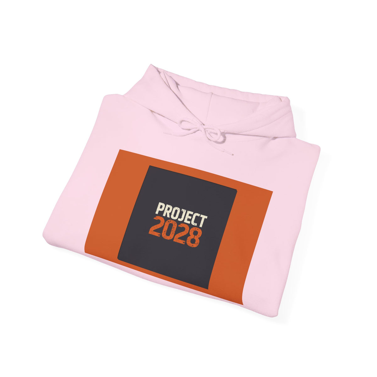 Project 2108 Graphic Hoodie | Democracy Isn't Automatic Back Print