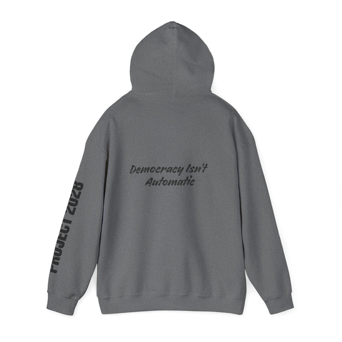 Protect Democracy Project 2028 Hoodie | Social Awareness