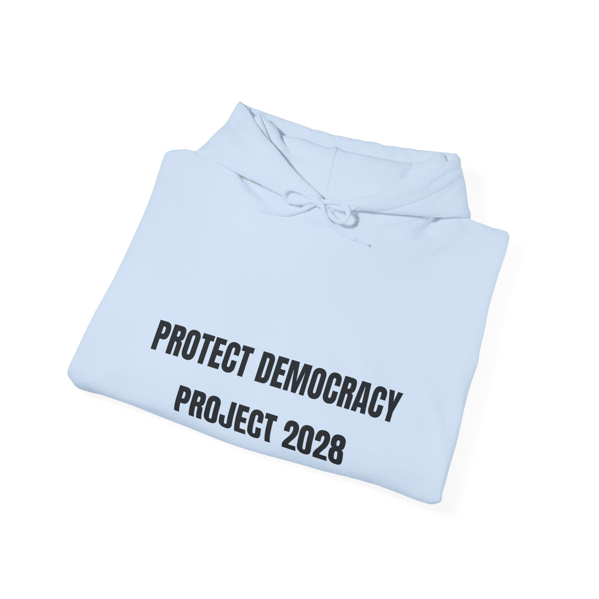 Protect Democracy Project 2028 Hoodie | democracy text design
