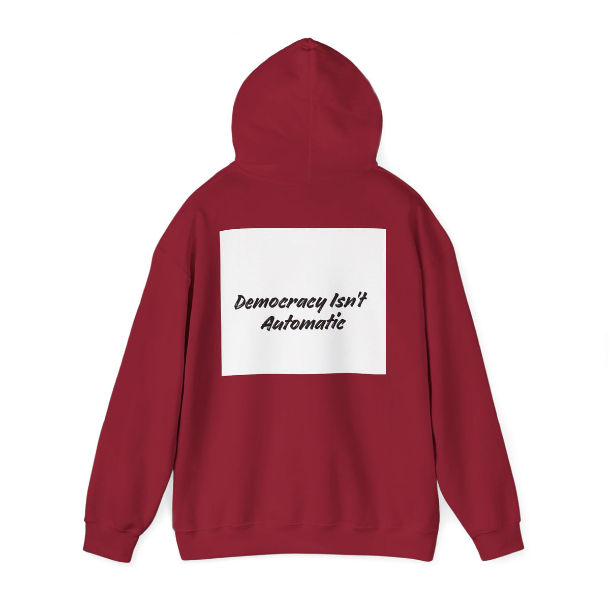 Protect Democracy Project 2028 Hoodie | Social Awareness