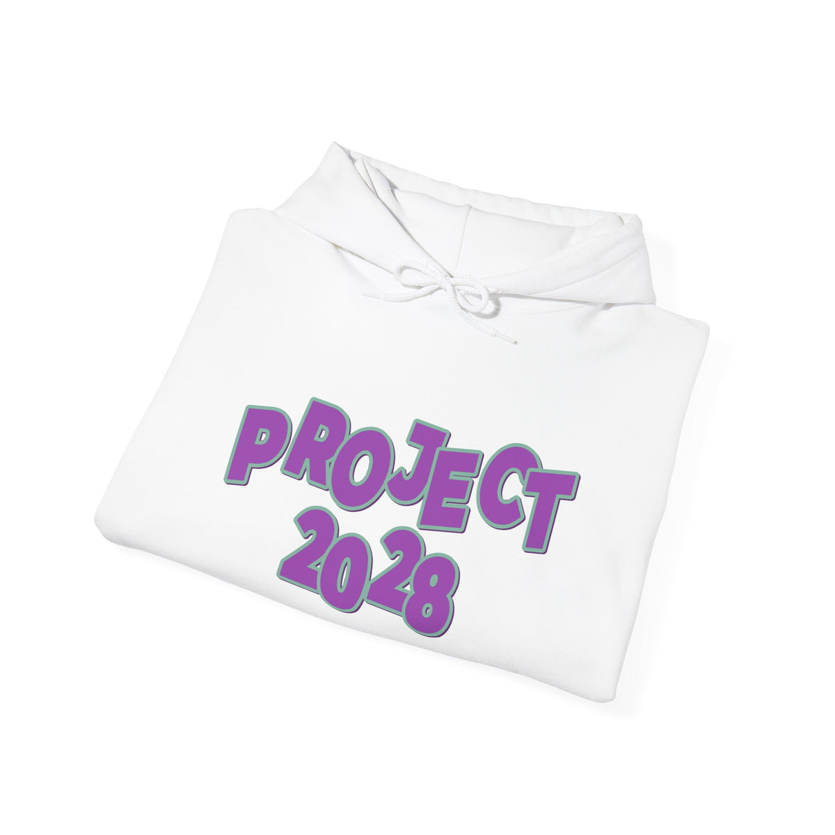 Project 2028 Hoodie | Democracy | Social Awareness