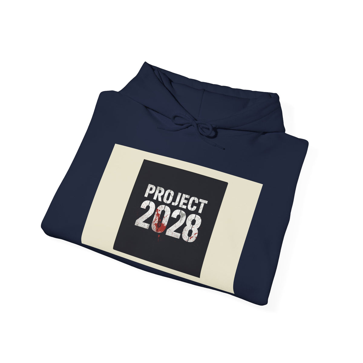 Product 2028 graphic hoodie | Democracy | Social Justice