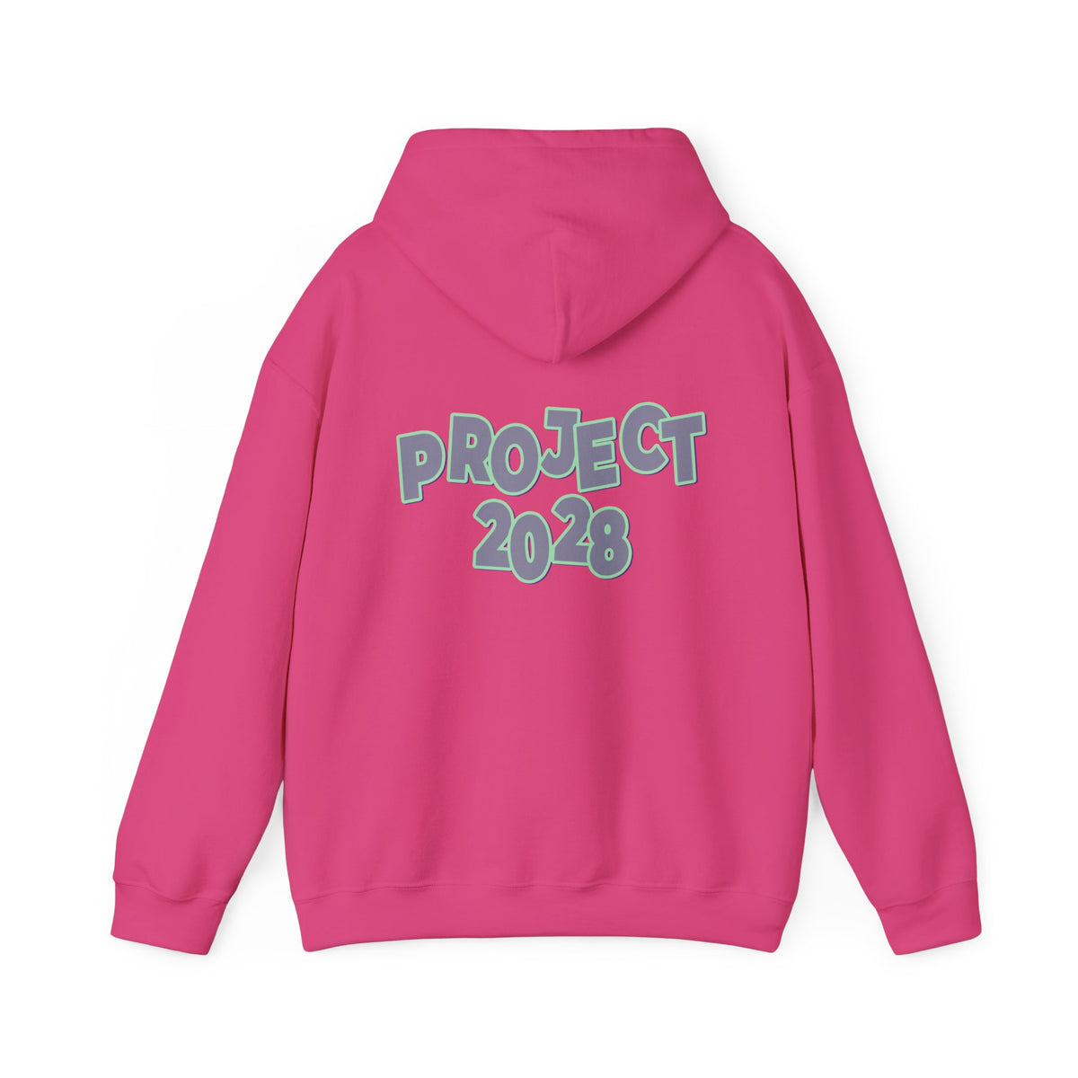 Project 2028 Hoodie | Protect Democracy graphic hoodie