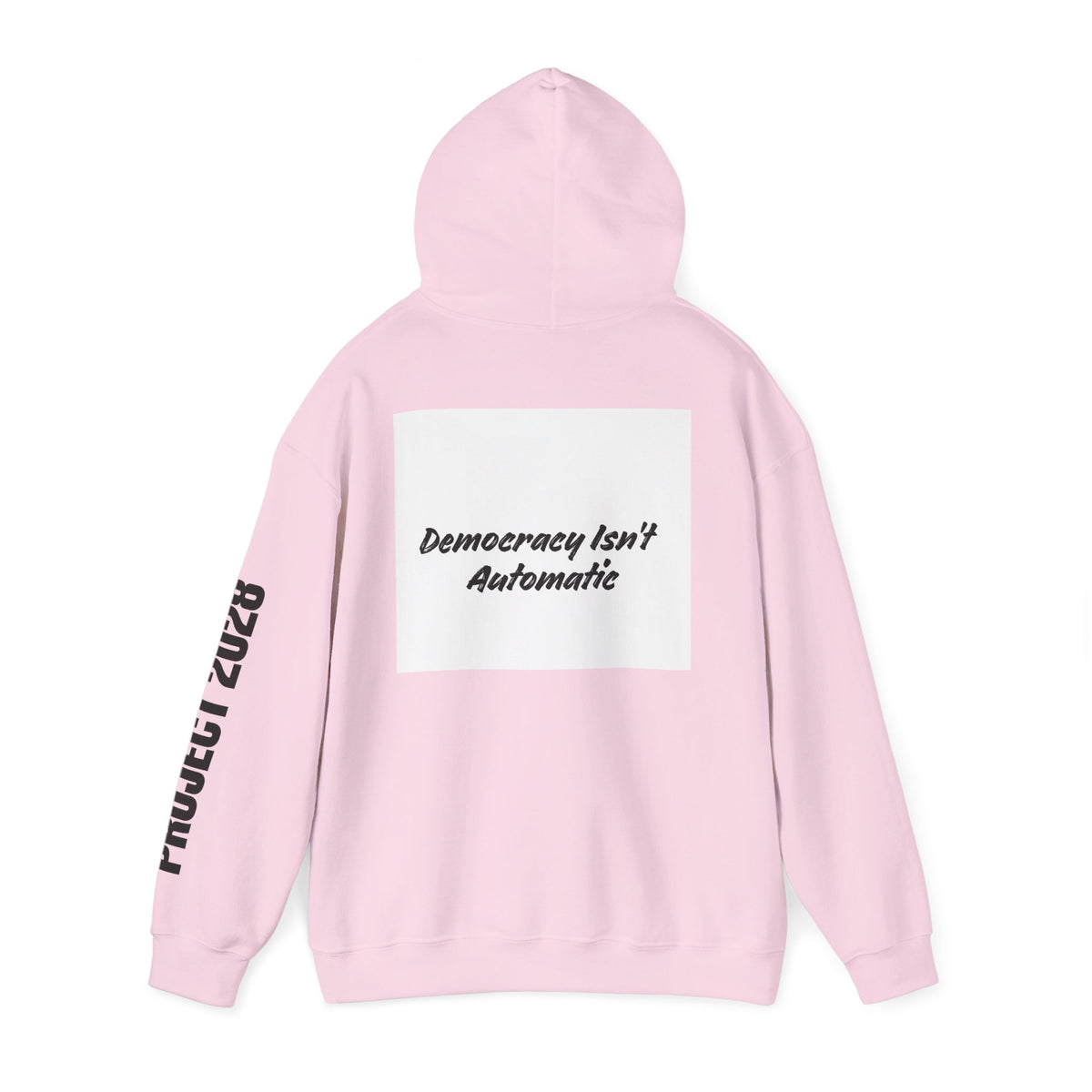 Protect Democracy Project 2028 Hoodie | Social Awareness
