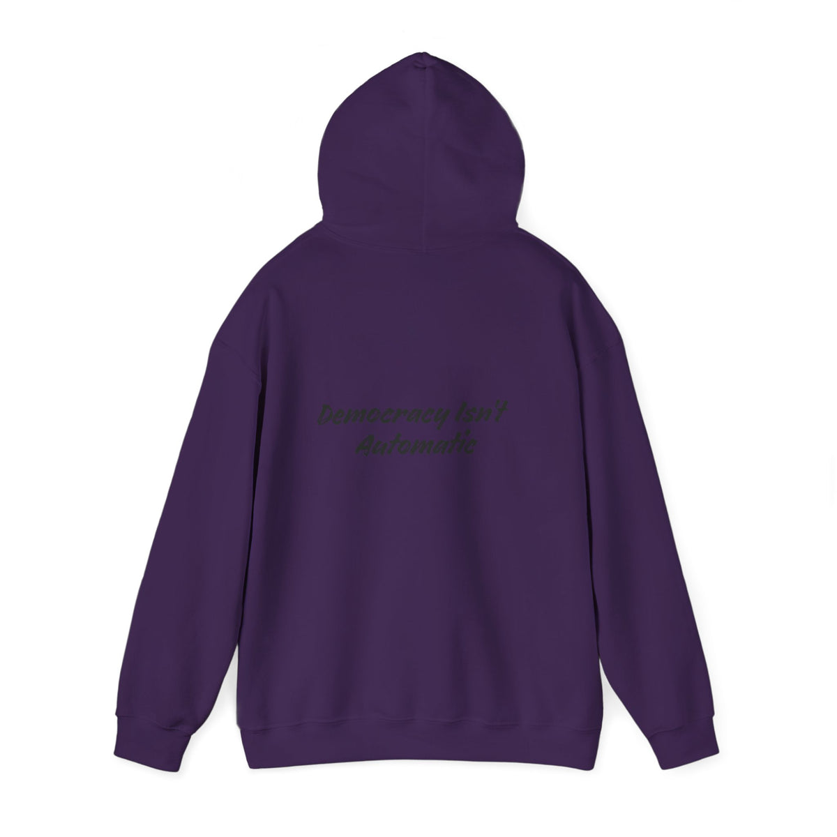 Protect Democracy Project 2028 Hoodie | democracy text design