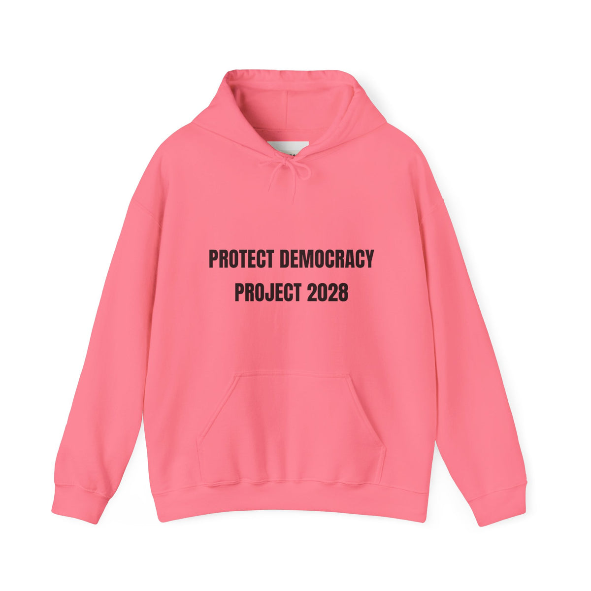 Protect Democracy Project 2028 Hoodie | democracy text design