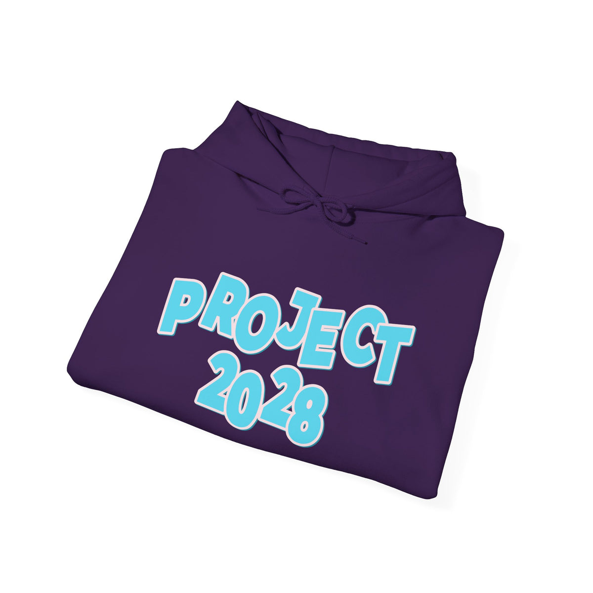 Project 2028 Hoodie | Democracy | Social Awareness