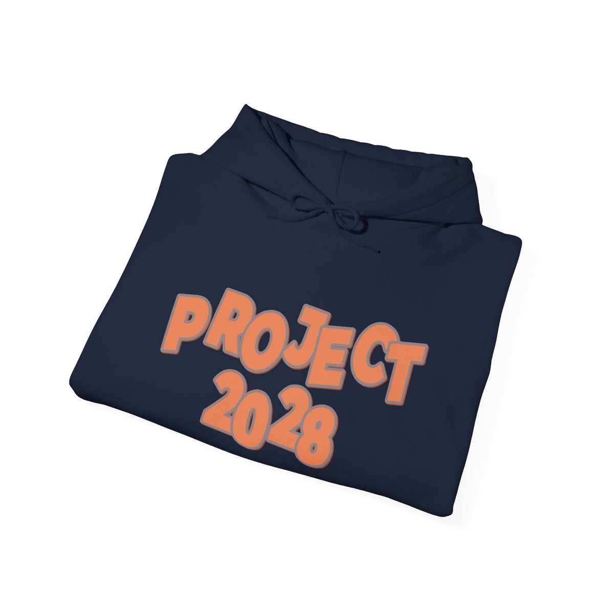 Project 2028 Hoodie | Democracy | Social Justice Message