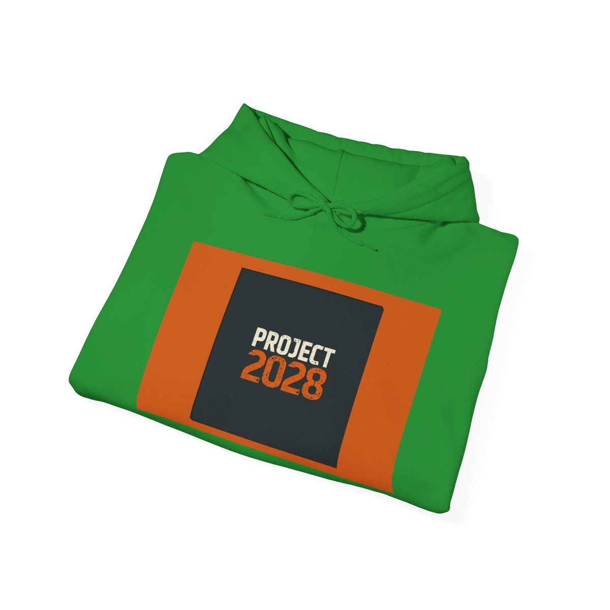 Project 2028 Graphic Hoodie | Democracy