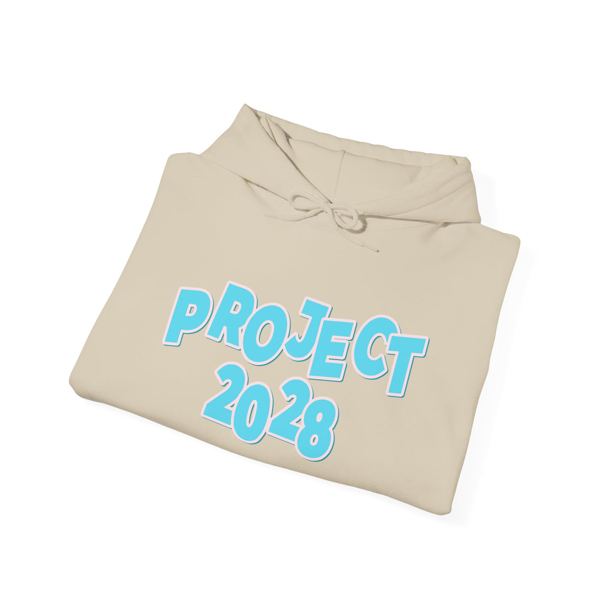 Project 2028 Hoodie | Democracy | Social Awareness
