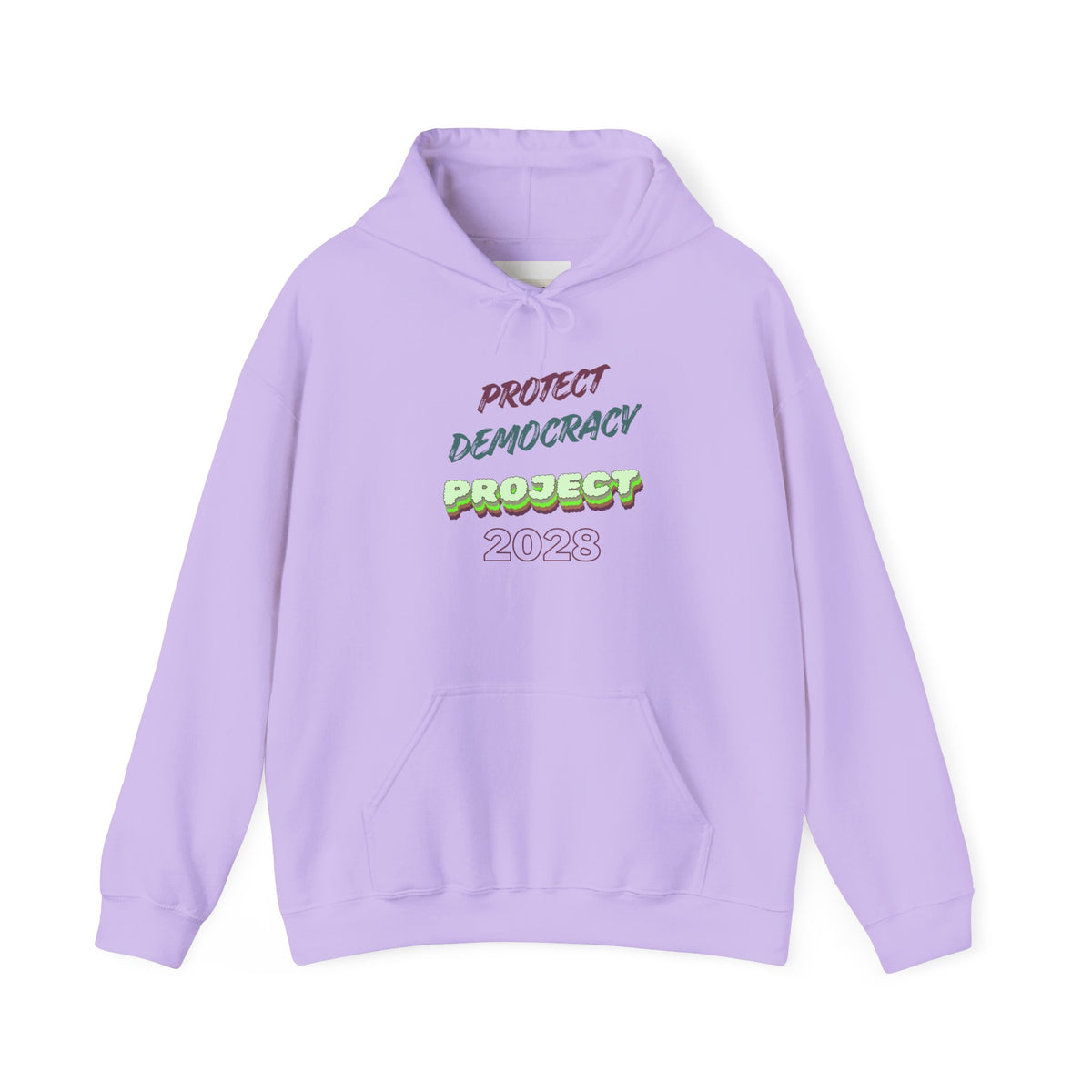 Protect Democracy Project 2023 Hoodie | Democracy Isn't Automatic