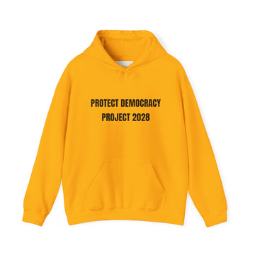 Protect Democracy Project 2028 Hoodie | Social Awareness