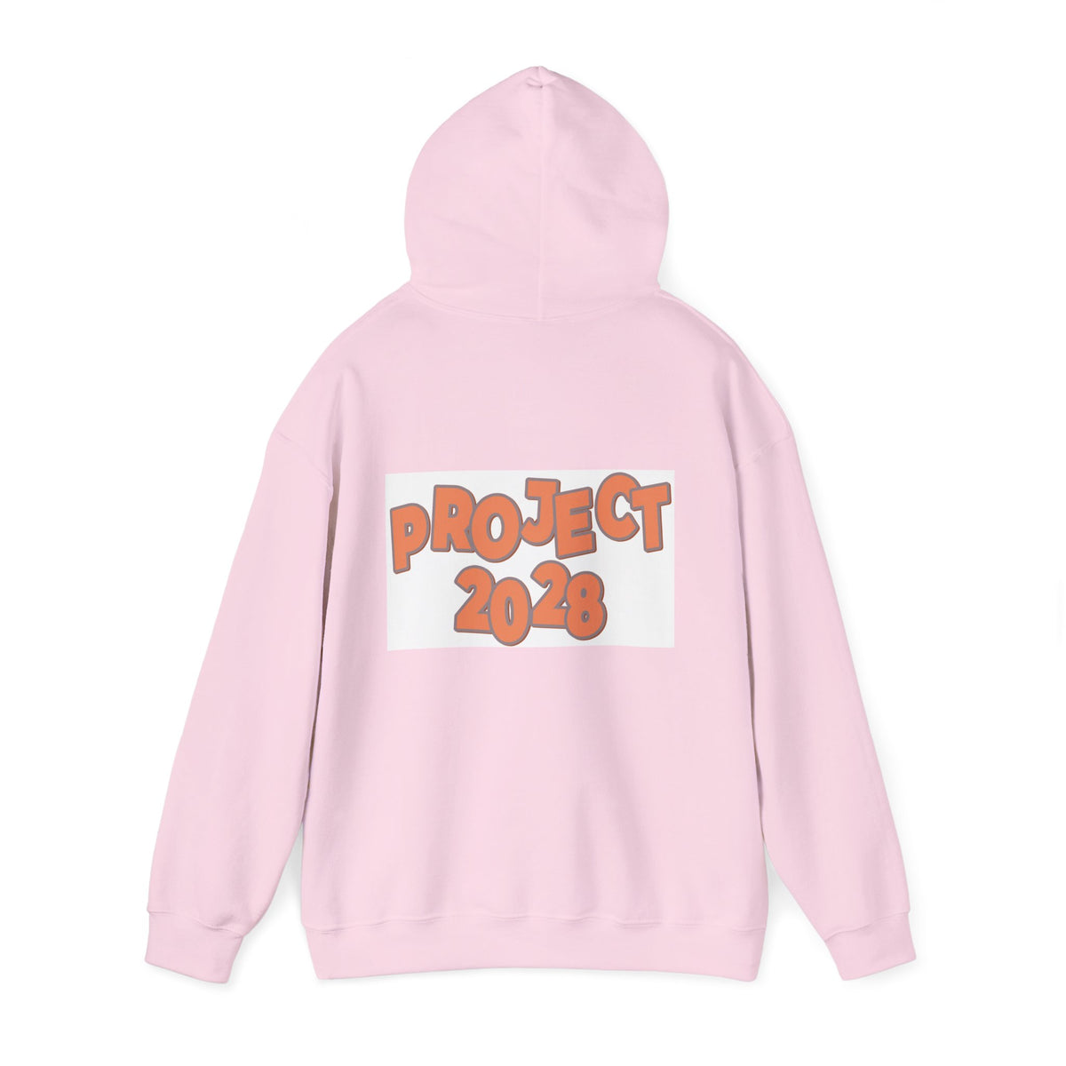 Project 2028 Hoodie | Protect Democracy text design