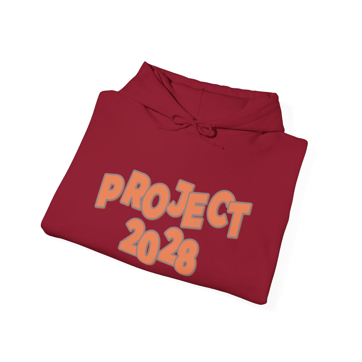 Project 2028 Hoodie | Democracy | Social Justice Message