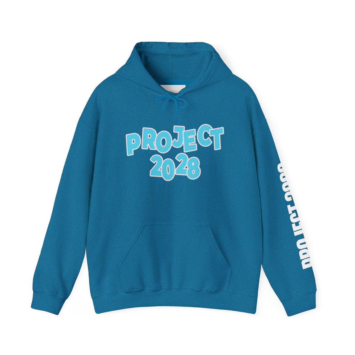 Project 2028 Hoodie | Democracy | Social Awareness